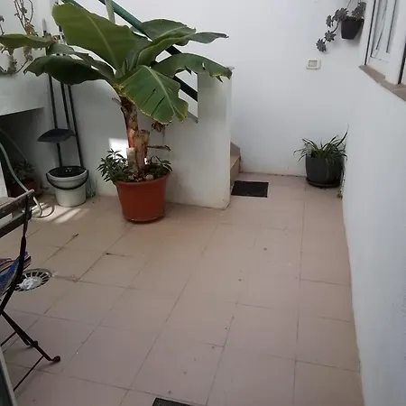 Casa Rafter *